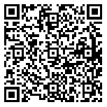QR code 14196838200000