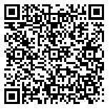 QR code 38475194100000