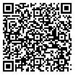 QR code 54138543200000