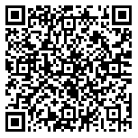 QR code 38582080000000