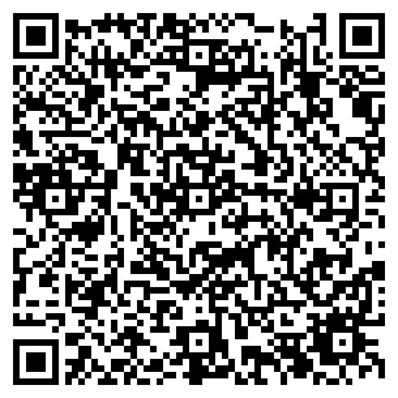 BOROWIK MICHAŁ Przedsiębiorstwo Handlowo Usługowe Naster QR code QR code 27788872300000