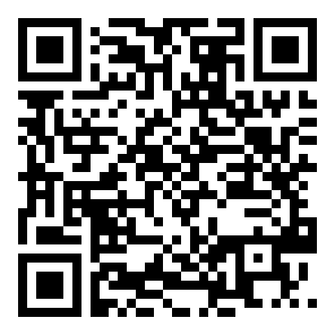 QR code 41113938100000