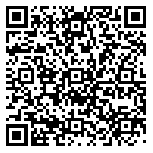 QR code 30273519100000