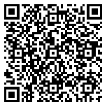 QR code 14106338500000