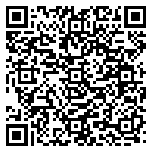 QR code 54038106000000
