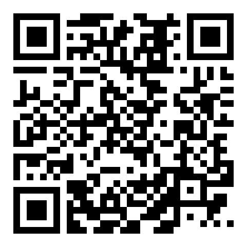 QR code 38106306300000