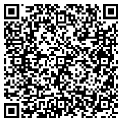 QR code 38280509300000