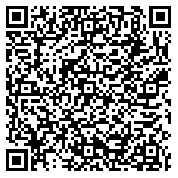QR code 38521133600000