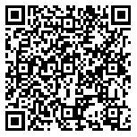 QR code 38172312800000
