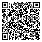 QR code 38295572800000