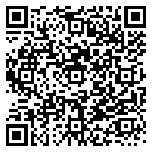 QR code 06138398200000