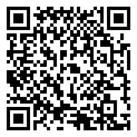 QR code 29061541000000