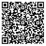 QR code 52063122900000