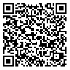 QR code 52020095000000
