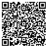 QR code 38419959600000