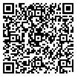 QR code 38252815600000