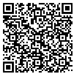 QR code 38209667900000