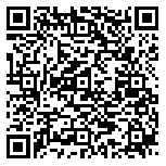 QR code 12314893100000