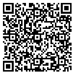 QR code 38064603500000
