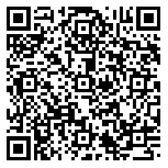 QR code 30060295900000