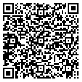 QR code 38803110300000