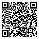 QR code 38800313000000