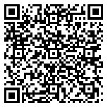 QR code 38054256000000