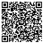 QR code 38154141000000