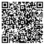 QR code 54166032900000