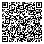 QR code 52228173300000