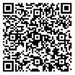 QR code 53138274300000