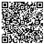 QR code 14160817500000