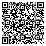 QR code 54134385300000