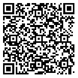 QR code 38665039700000