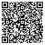 QR code 54138303100000