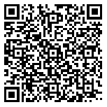 QR code 38273795400000