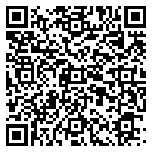 QR code 38355538500000