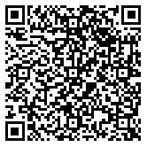 QR code 38134736900000