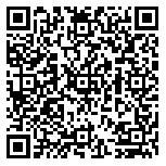 QR code 69070313500000