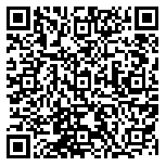 QR code 69068973100000