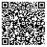 QR code 54039911300000