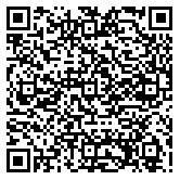 QR code 38137482800000