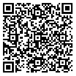 QR code 52813163800000