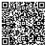 QR code 38509419000000