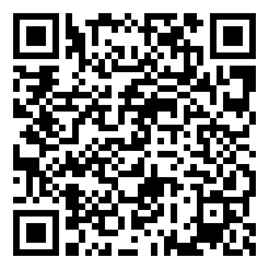 QR code 52020162900000
