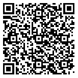 QR code 38160114100000