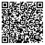QR code 14098538400000