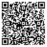 QR code 38331378800000