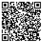 QR code 38132941400000