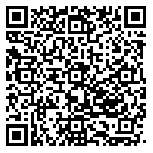 QR code 52029353100000
